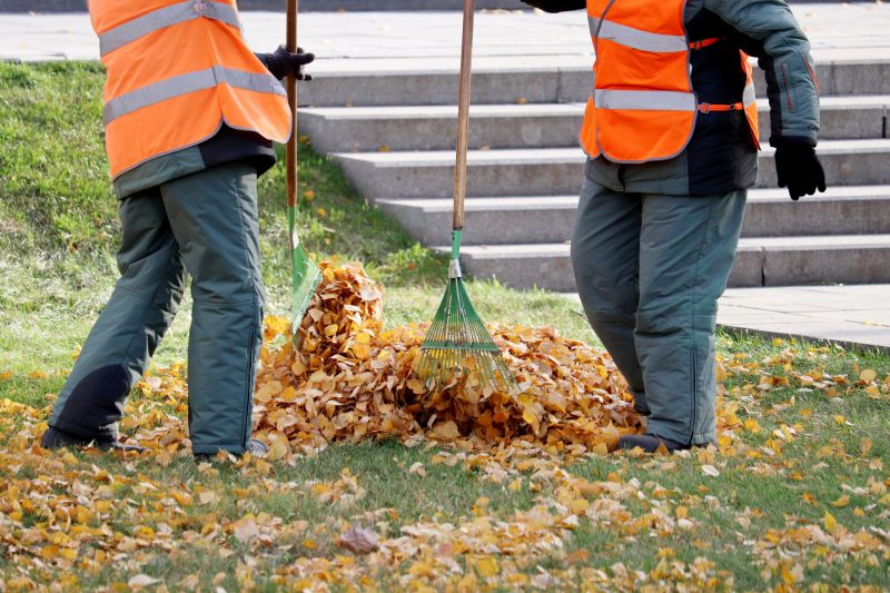 Leaves Being Collected
