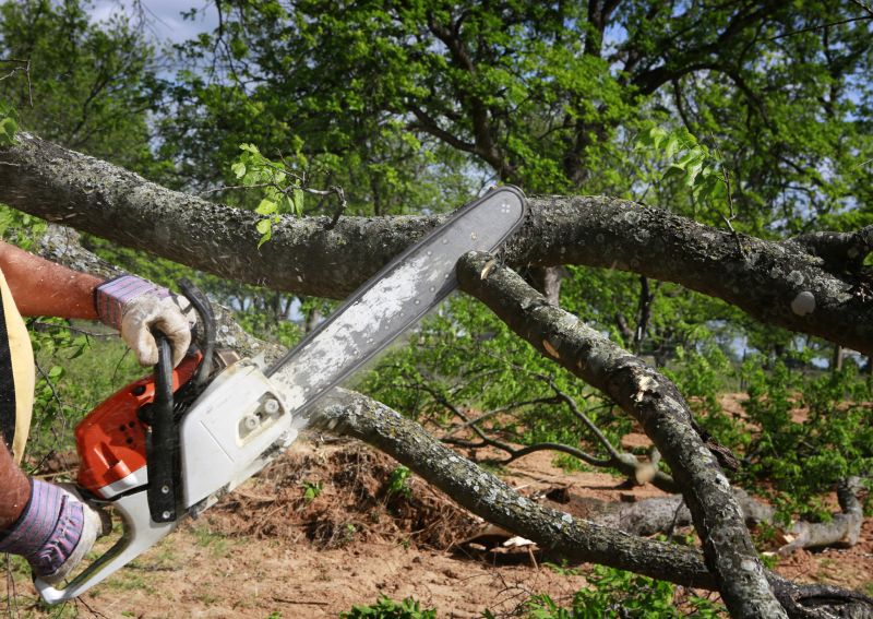 Residential Tree Service
